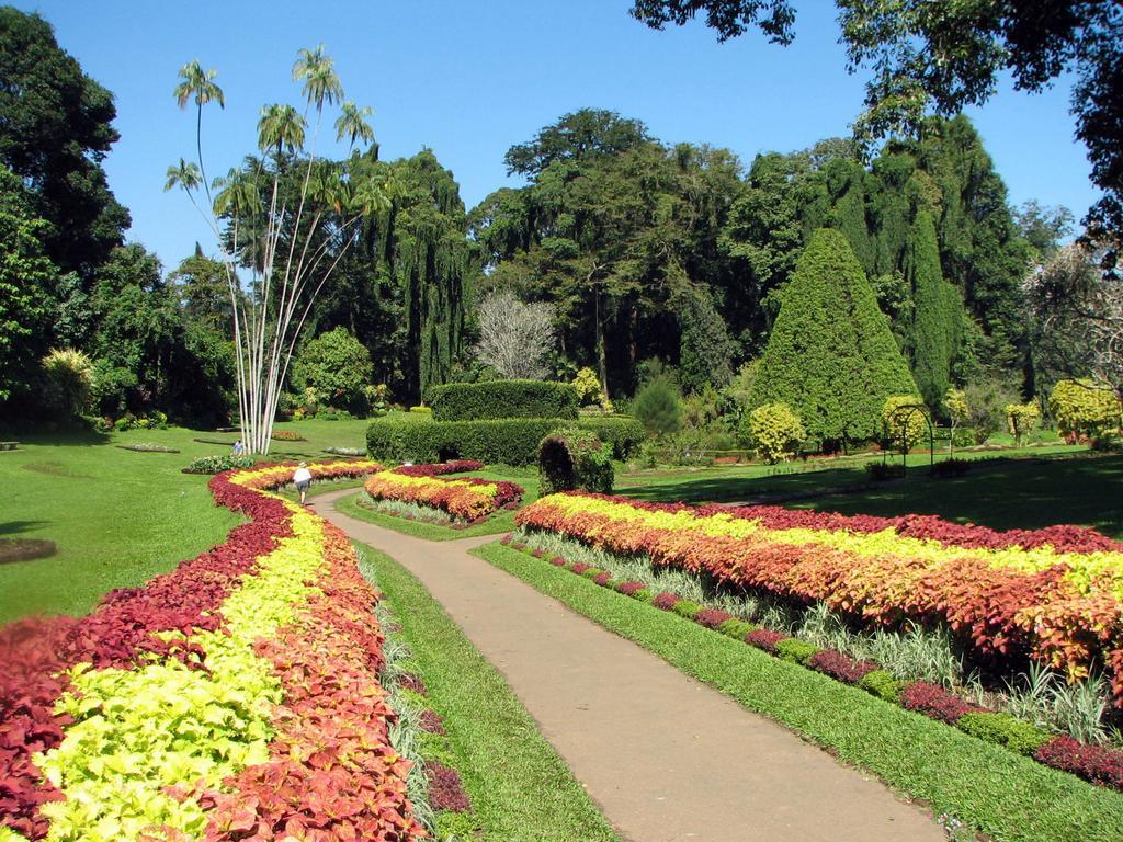 Kandy View Villa 외부 사진